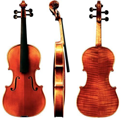 ANV Inst 13 Cadenza violin outfit